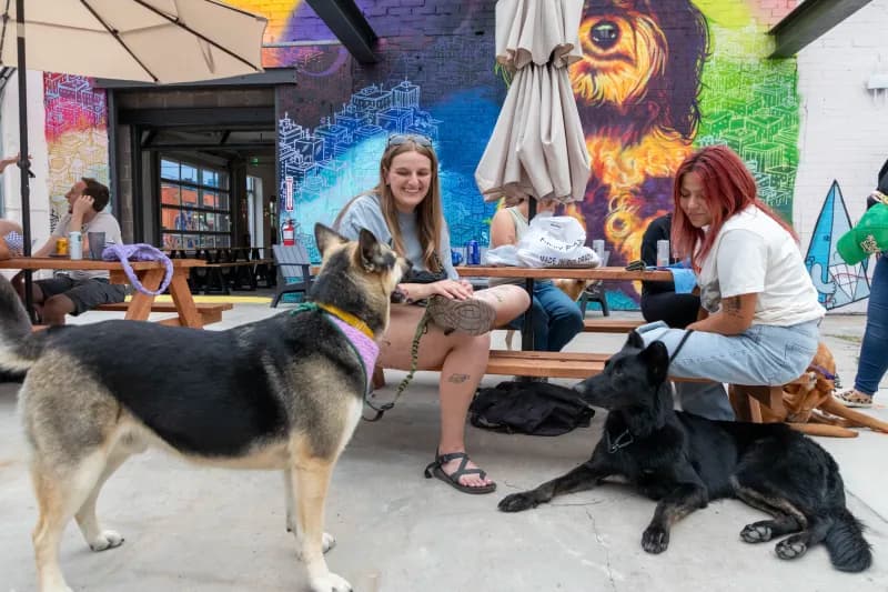 First Responders + Friends Singles Mixer @ HomeDog