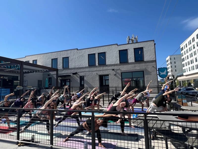 Singles Yoga & Mixer at BrewDog with SWTHZ Cold Plunge
